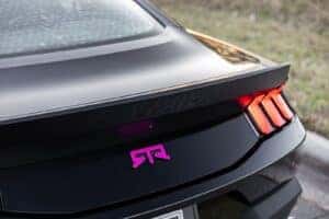 Appearance & Badging
