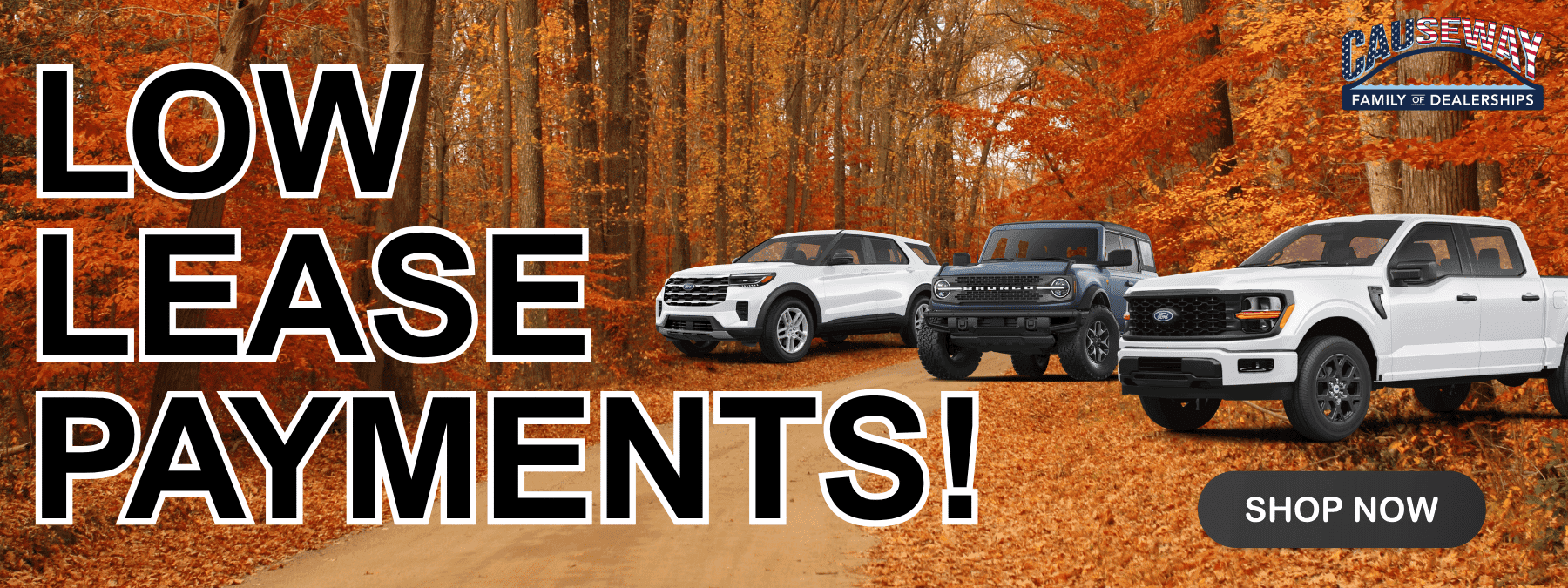 Ford-Lease-Slide—2-