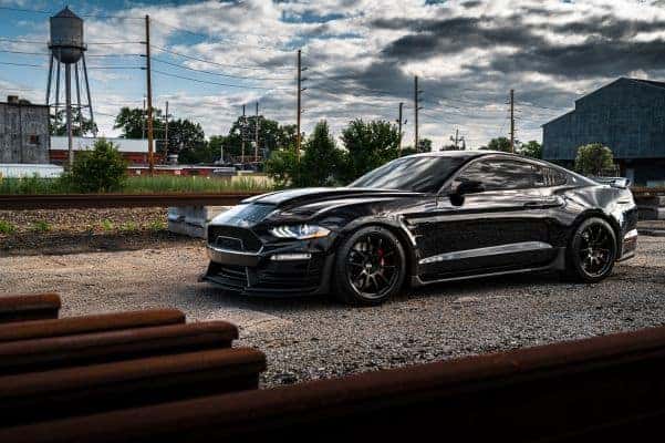 Shelby