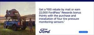 Rebate incentive at DeNooyer Ford in Vicksburg, MI