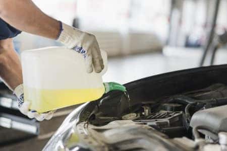 oil-change