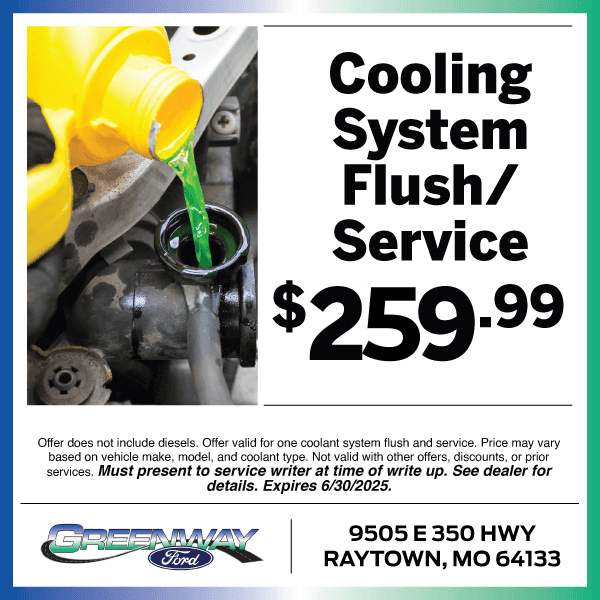 Cooling System Service