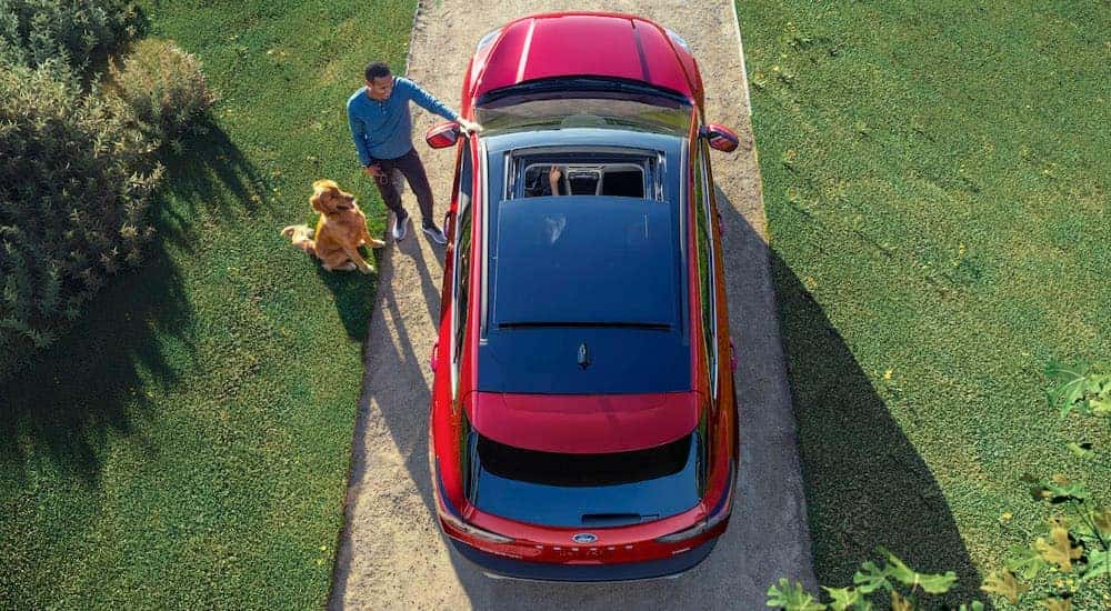 Aerial view of a man and his dog next to a red 2020 Ford Escape in a park.
