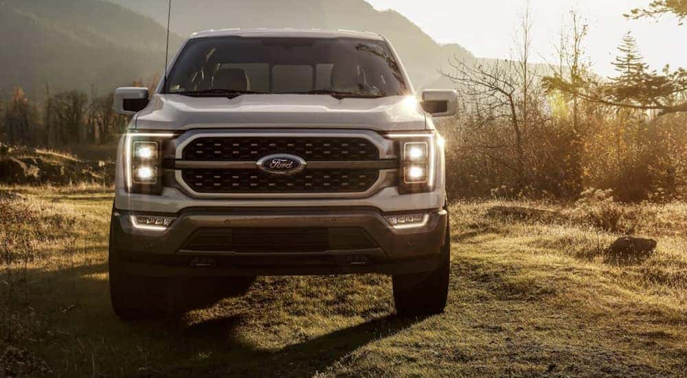 A silver 2022 Ford F-150 King Ranch is shown from the front parked in a field.