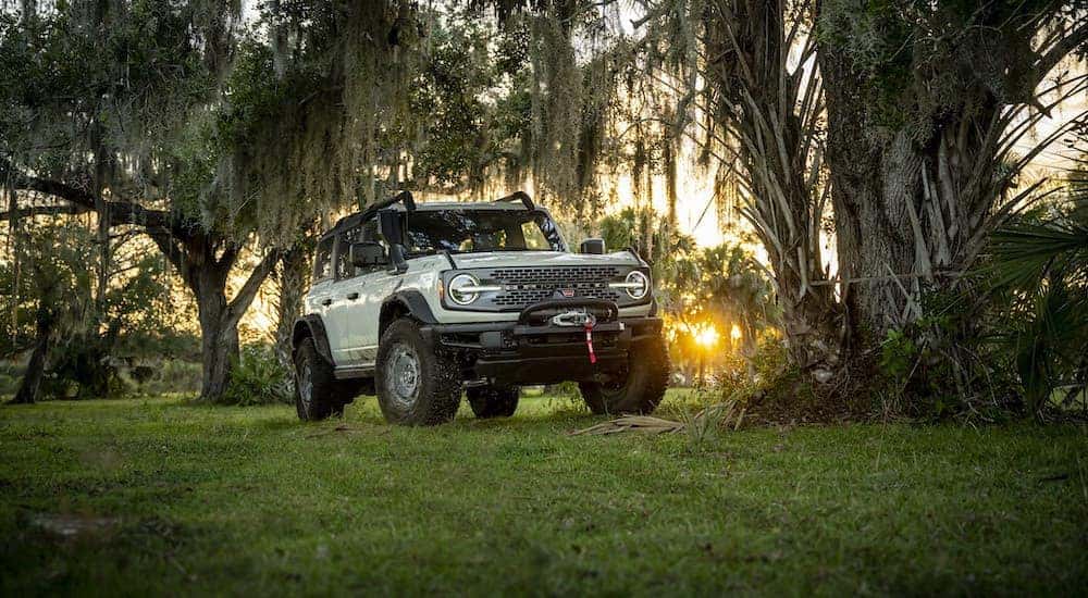 A green 2023 Ford Bronco Everglades is shown from the front at an angle.