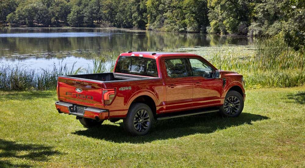 A red 2024 Ford F-150 from the rear at an angle.