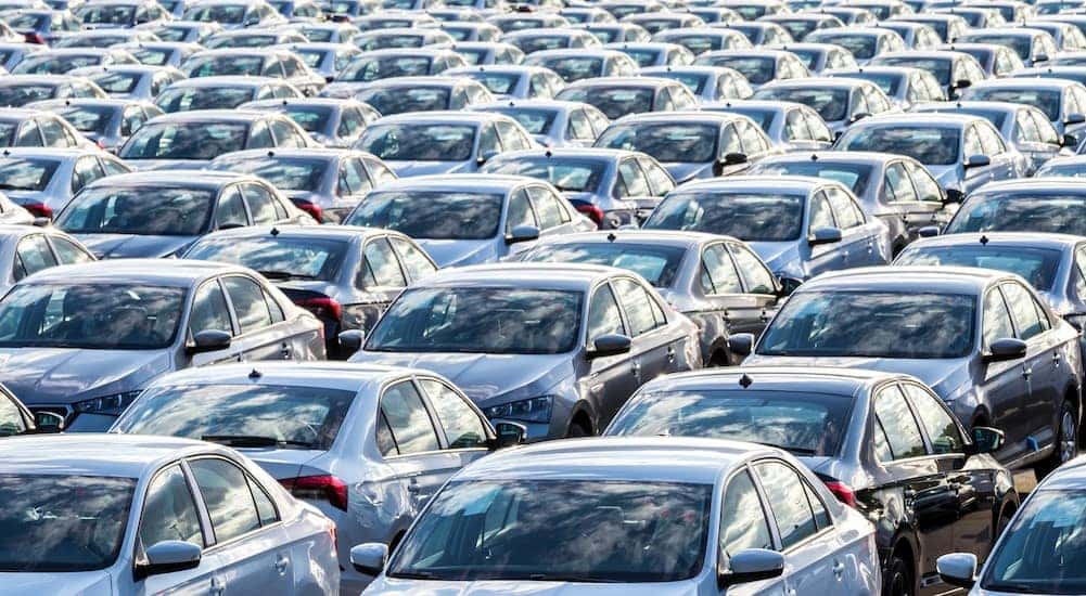 Many used cars for sale near Pueblo West on a dealership lot.