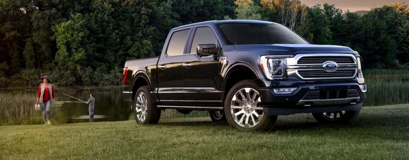 A blue 2021 Ford F-150 from the front.