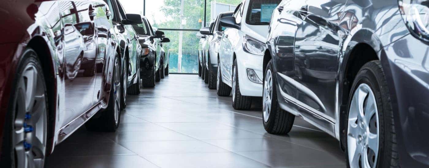 Two rows of cars are shown at a used car buying center.