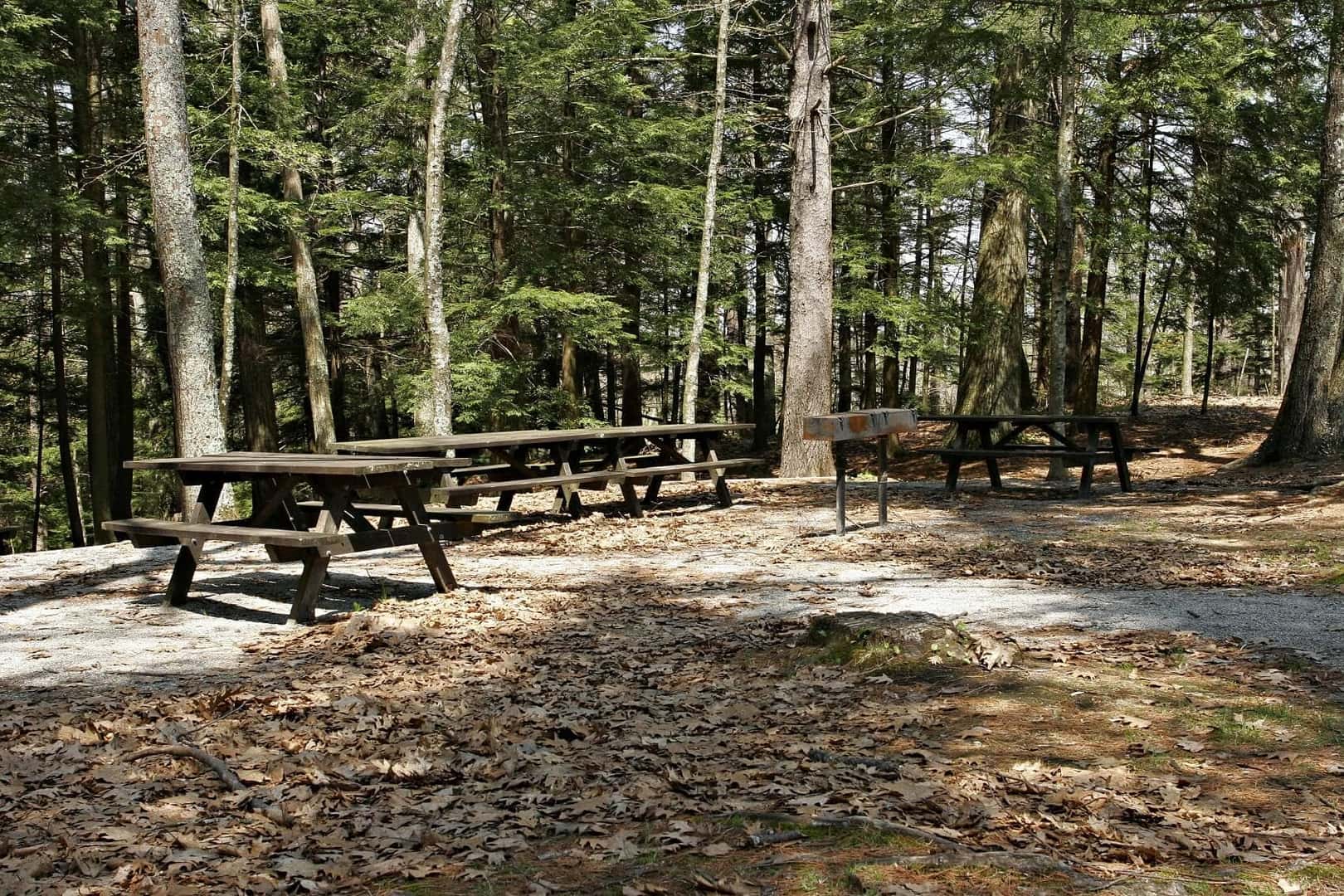 Ford Dealer Troy NY Ford of Latham