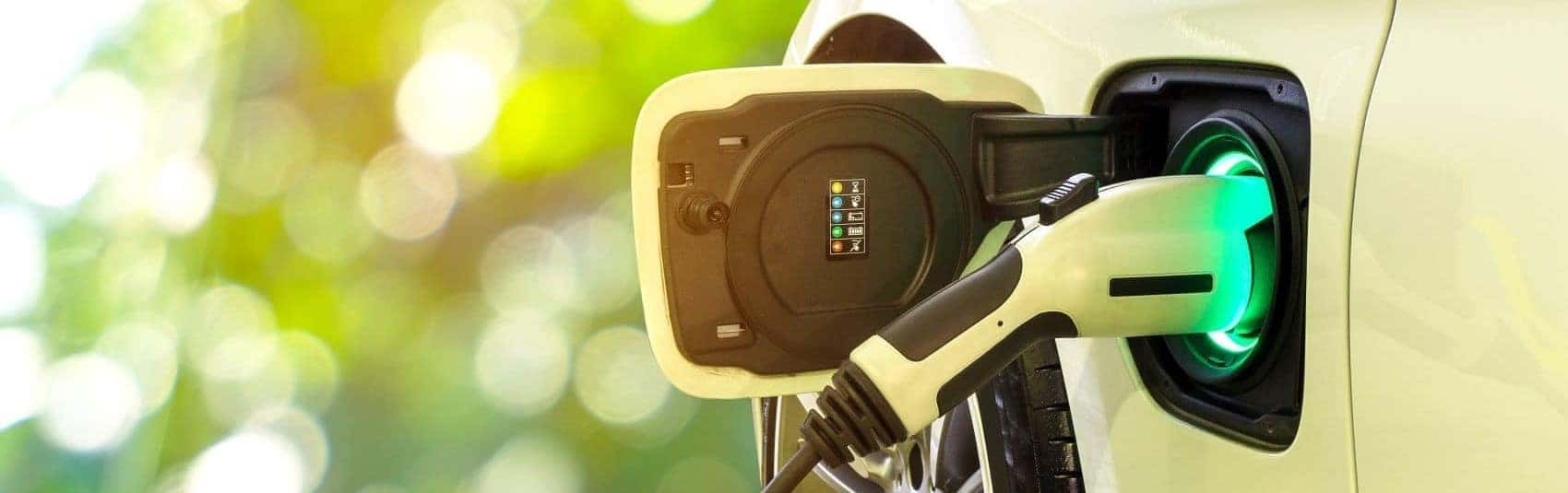 Electric Car Dealer Lyons NY