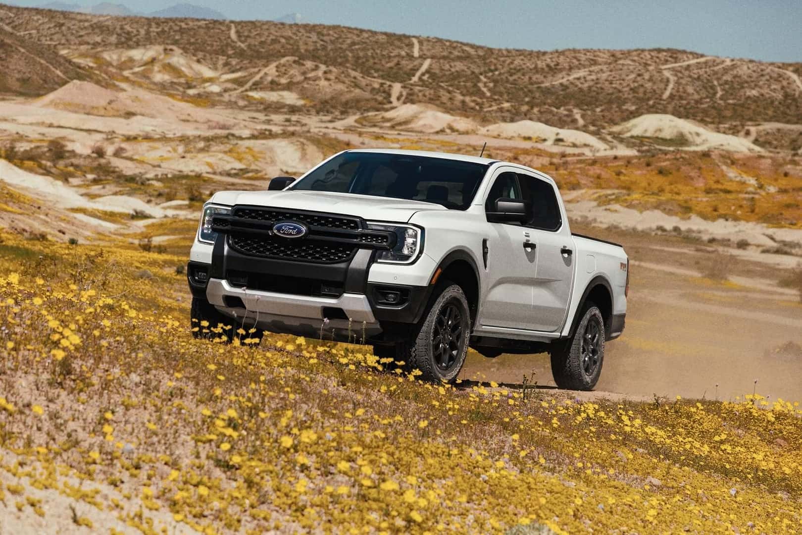 Ford Truck Inventory