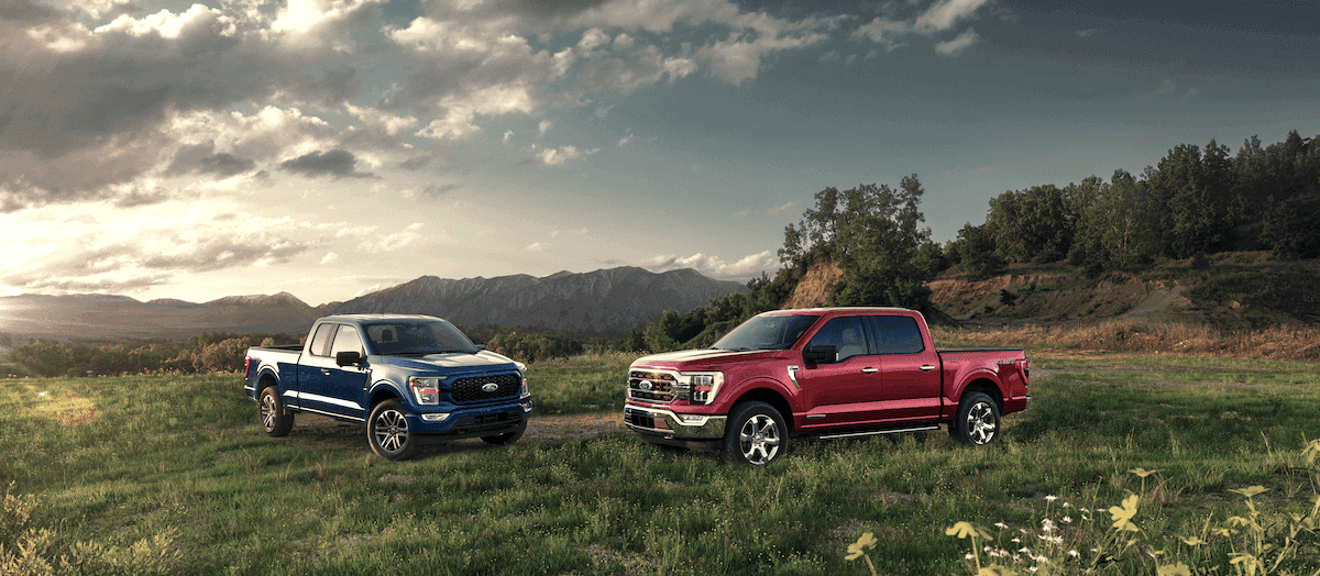 Two 2021 Ford F-150 trucks in field