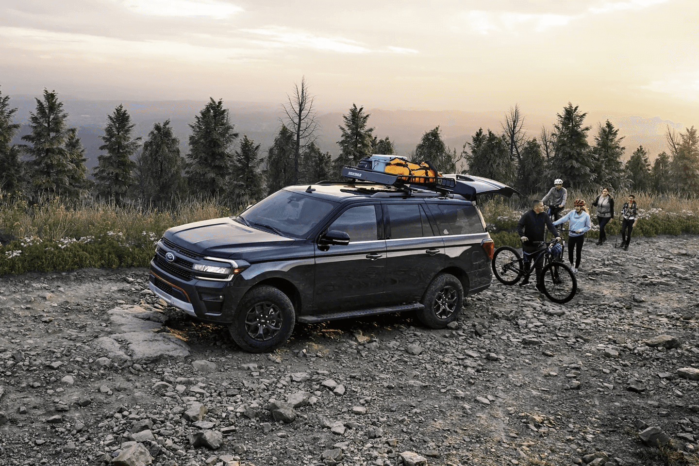 2019 ford expedition roof rack hot sale