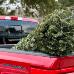 red lightning with xmas tree