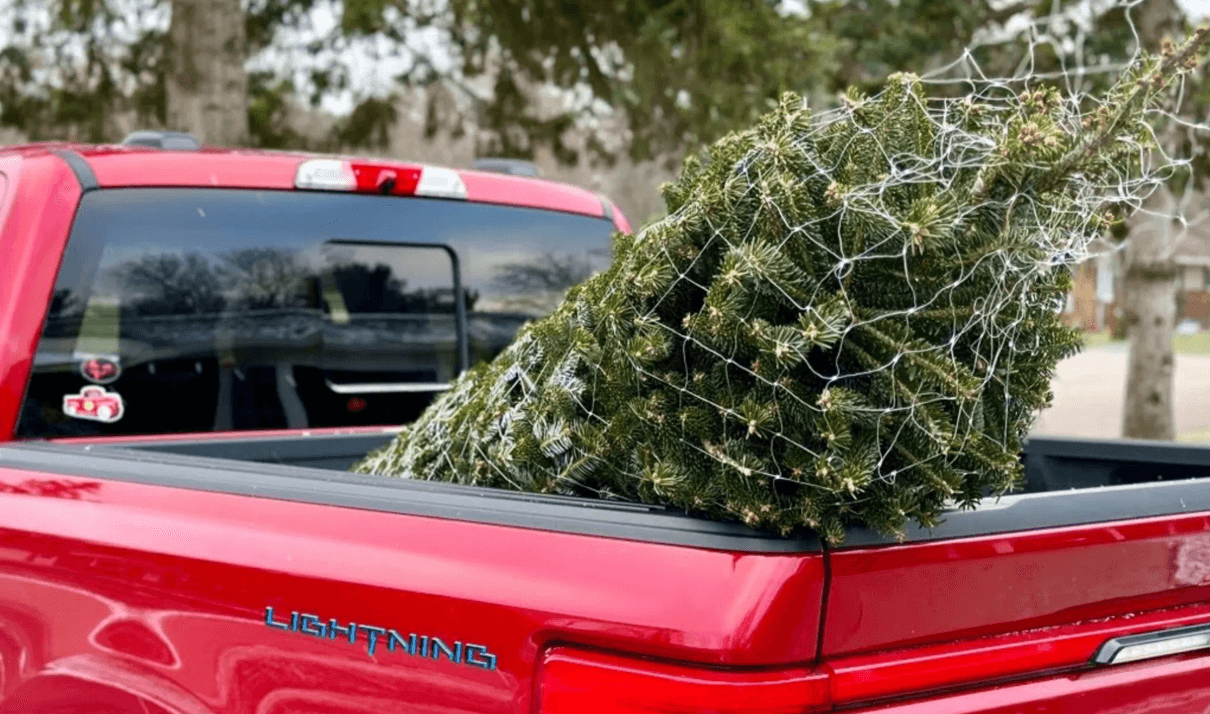 red lightning with xmas tree