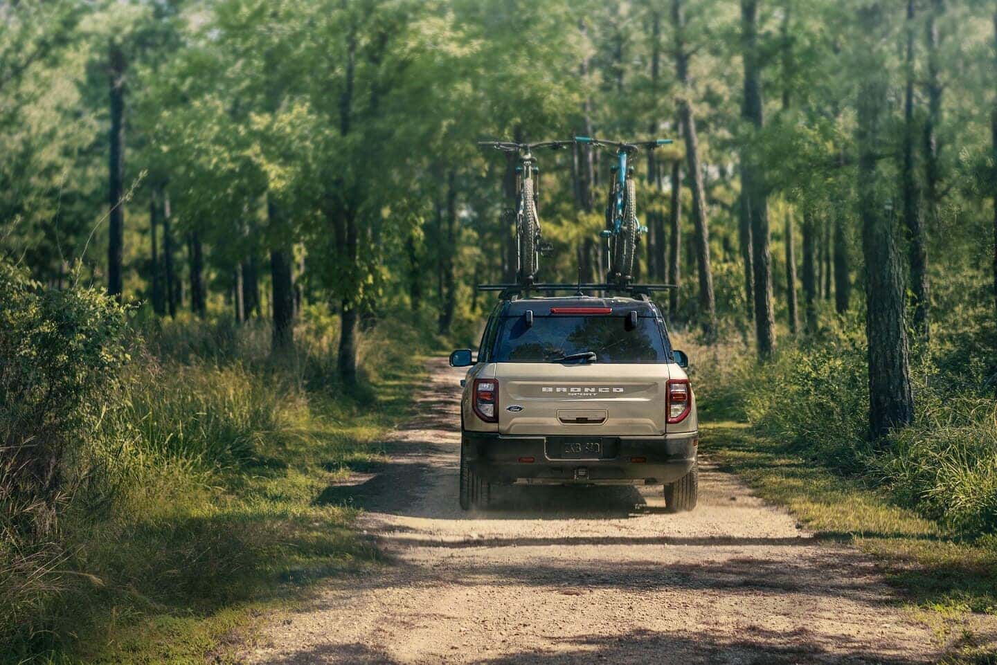 A black Ford F150 hauling a silver Airstream RV through a mountain pass