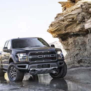 Raptor-10
