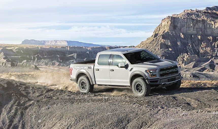 Raptor-11