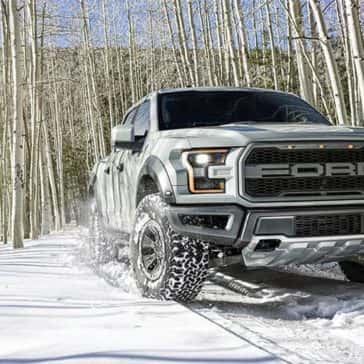 Raptor-13