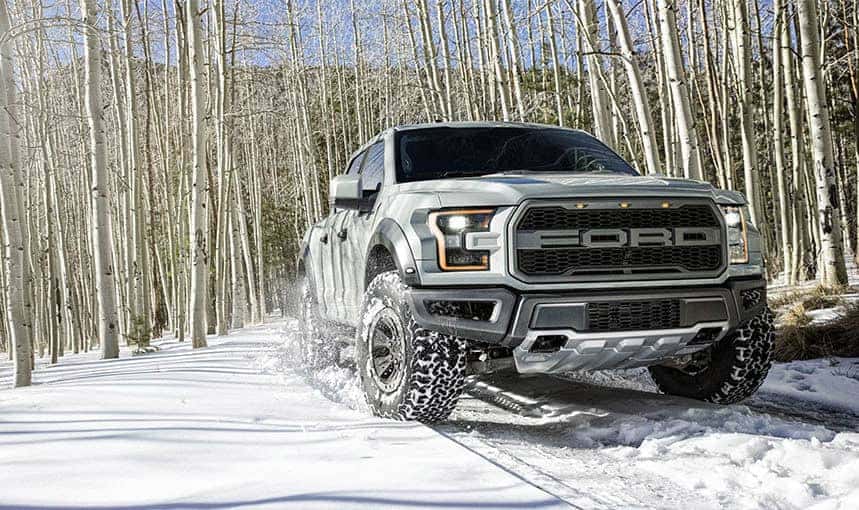 Raptor-13