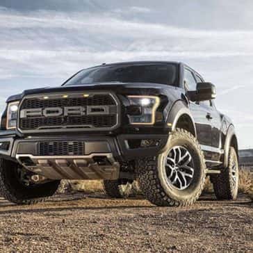 Raptor-17