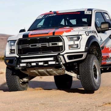Raptor-6