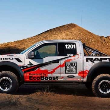 Raptor-7