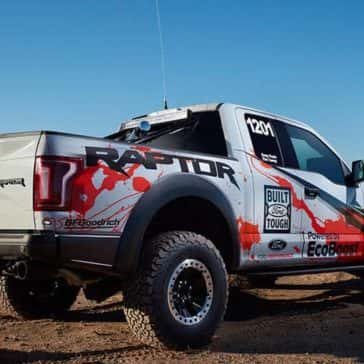Raptor-8