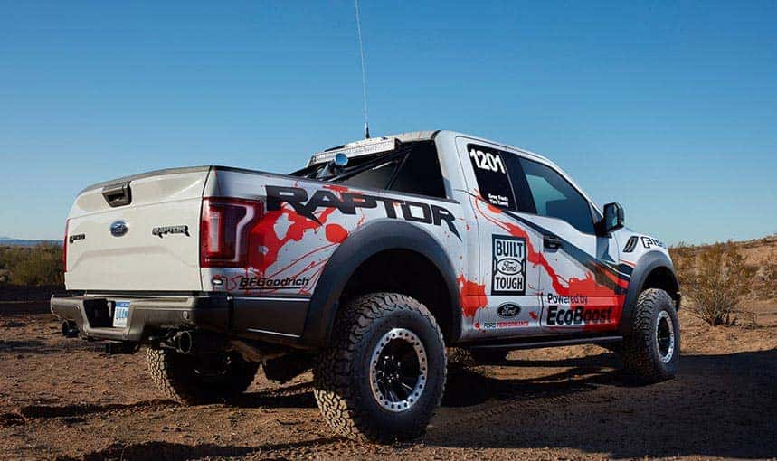 Raptor-8