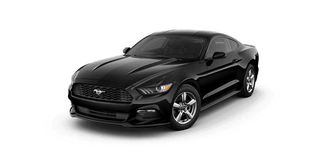 Shadow Black