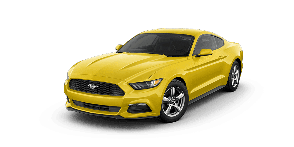 Triple Yellow Tri-Coat