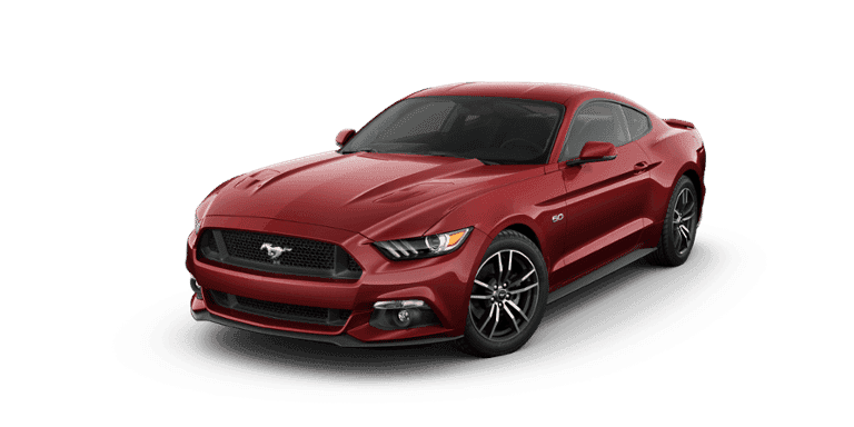 GT Premium Fastback