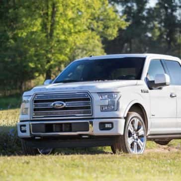 Gallery-F150-8