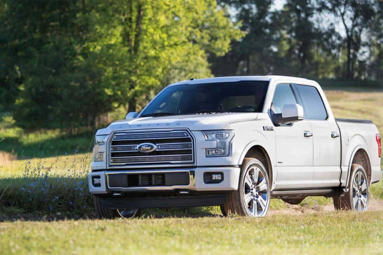 Gallery-F150-8