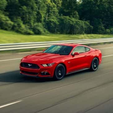 mustang