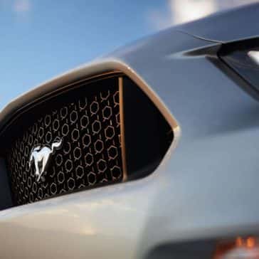 mustang11