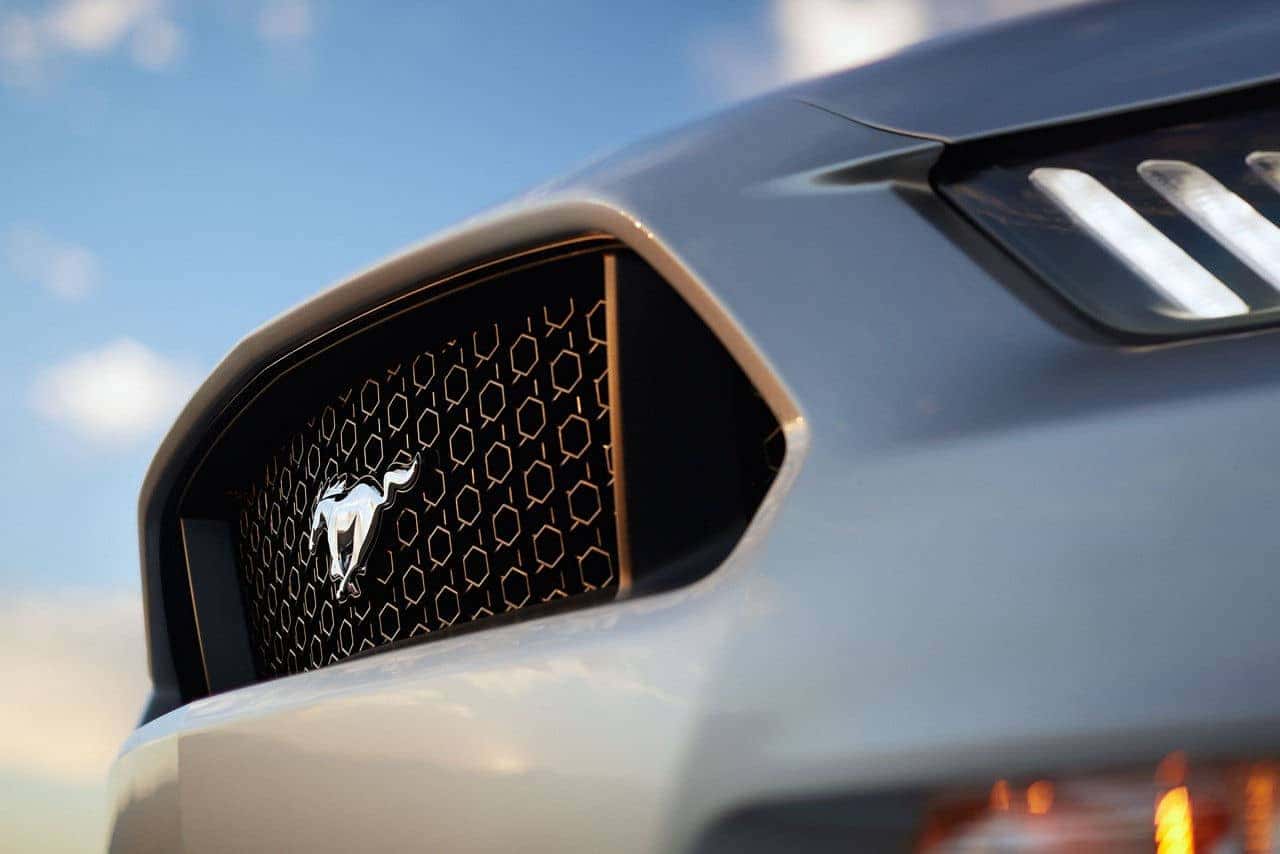 mustang11