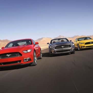 mustang12