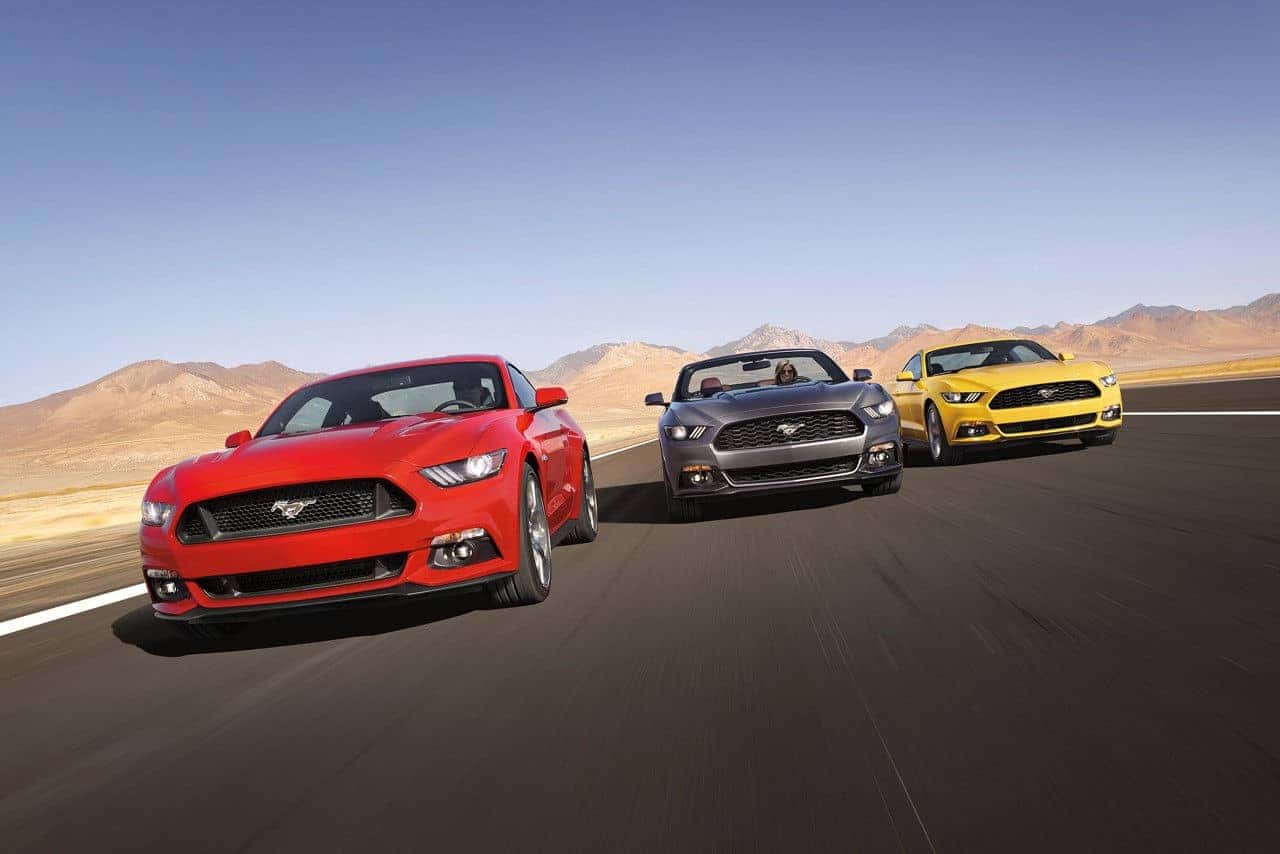 mustang12