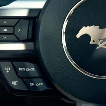 mustang15