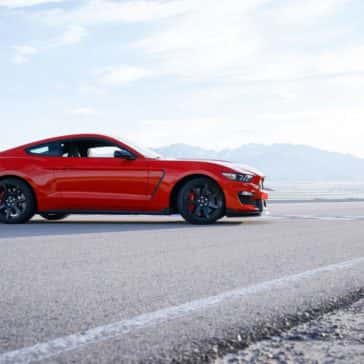 mustang2
