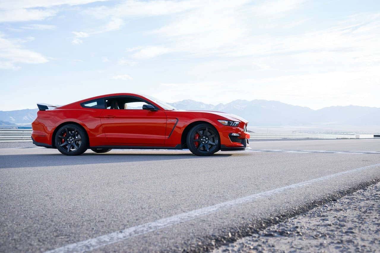 mustang2