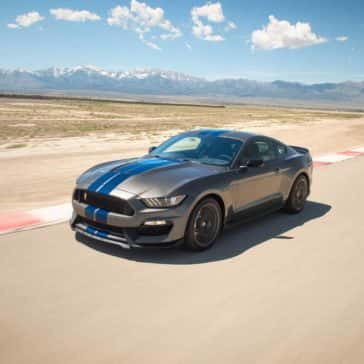 mustang3