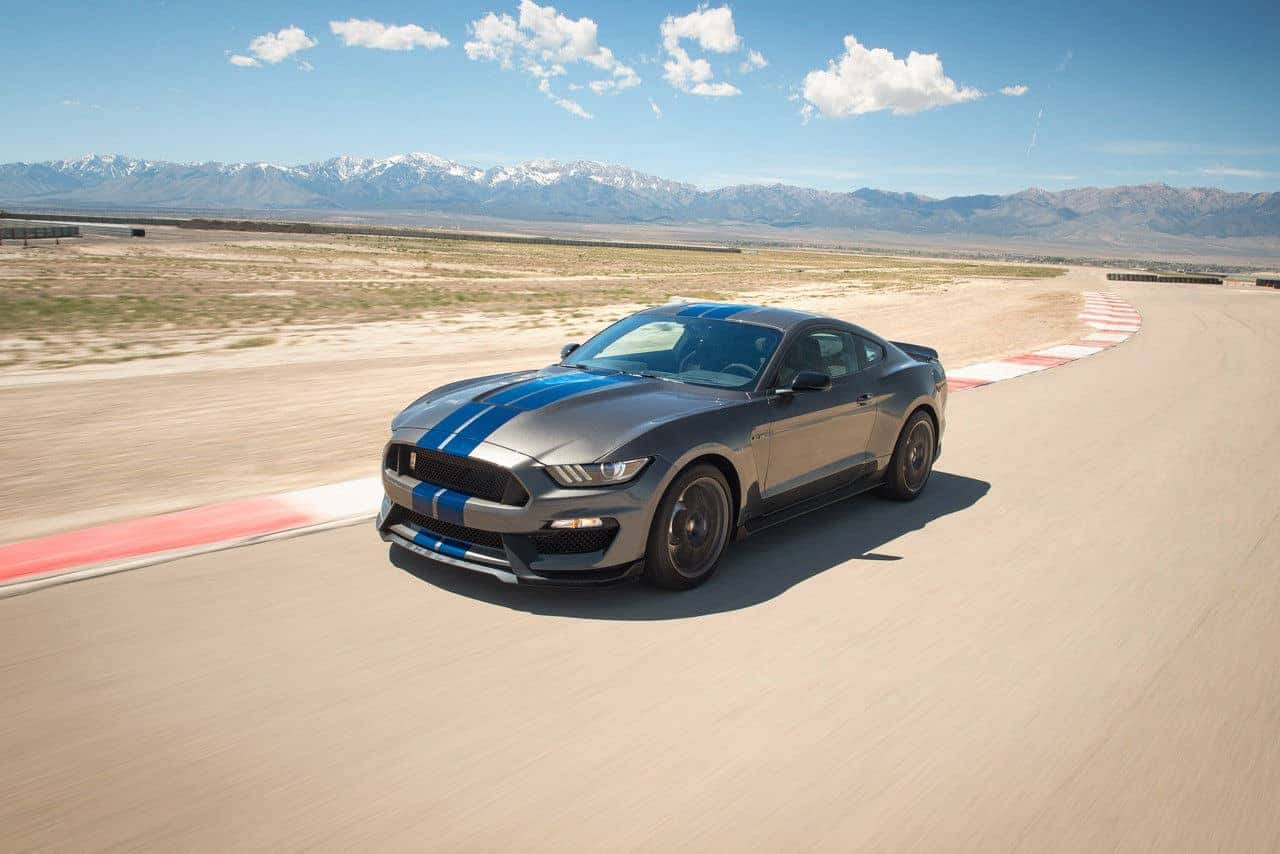 mustang3