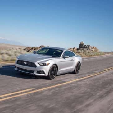 mustang4