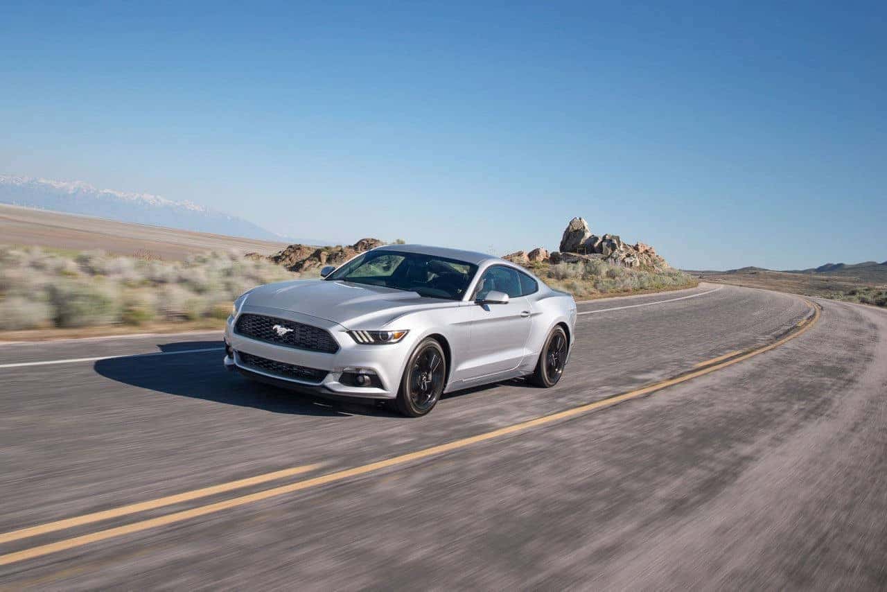 mustang4