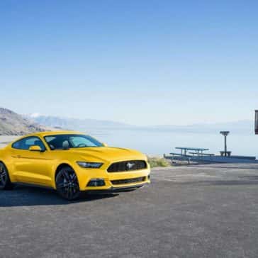 mustang5