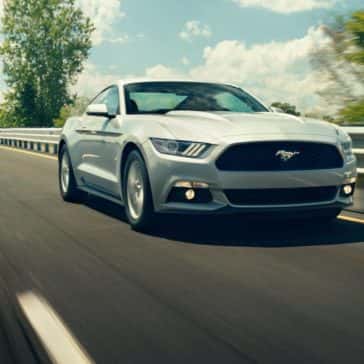 mustang7