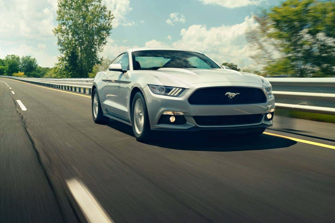 mustang7
